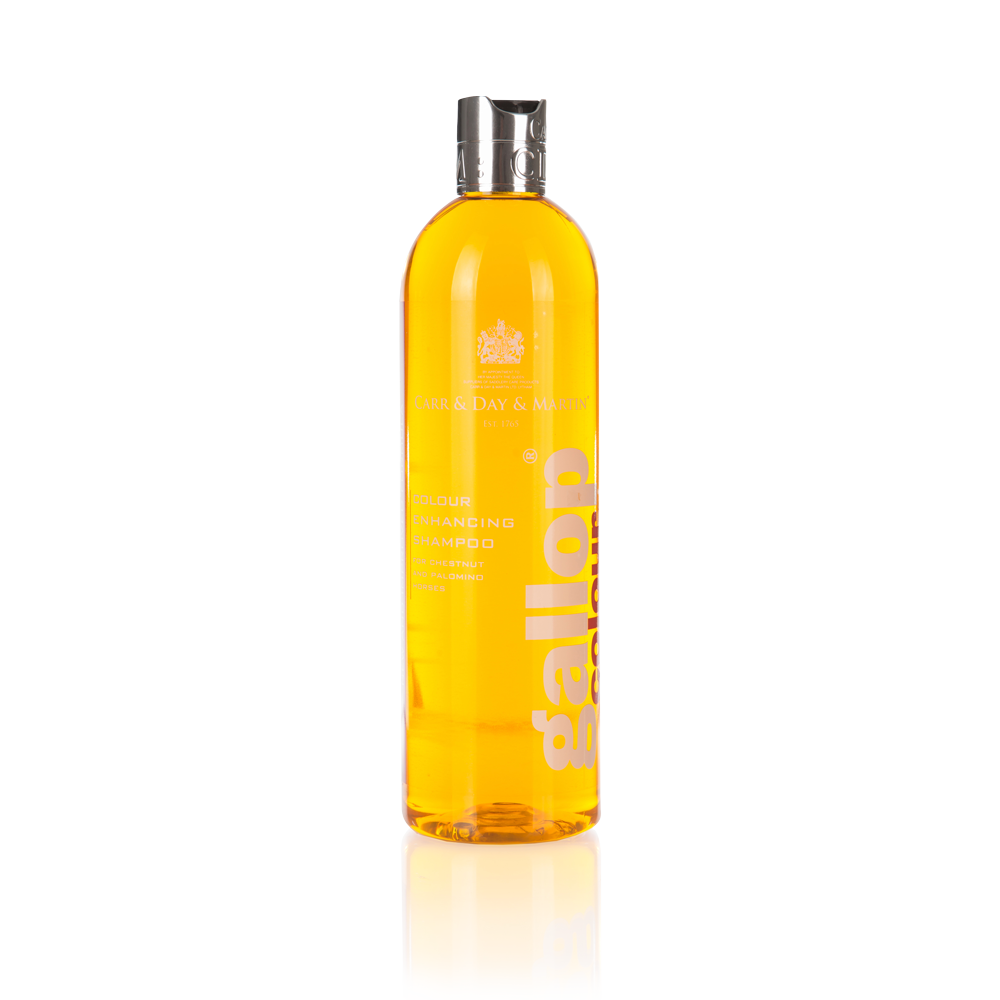 Shampoing Gallop Color - Carr &amp; Day &amp; Martin LTD
