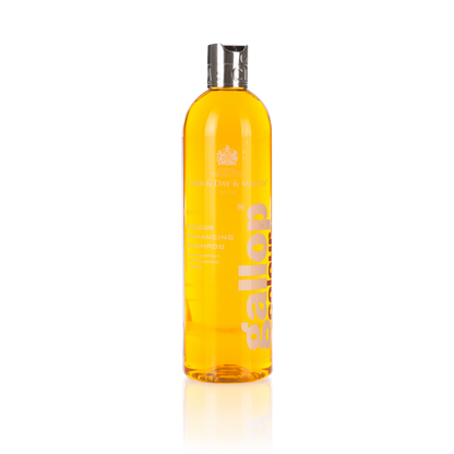 Shampoing Gallop Color - Carr &amp; Day &amp; Martin LTD