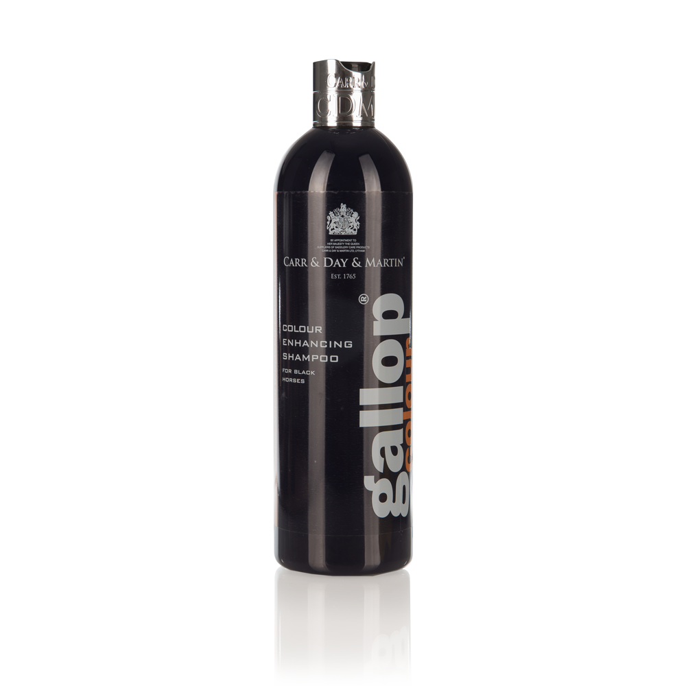 Shampoing Gallop Color - Carr &amp; Day &amp; Martin LTD