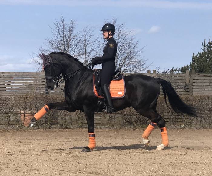 Sweet Clementine fleece strips - Equito