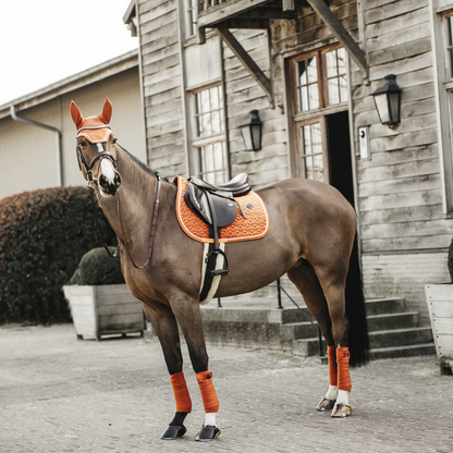 ORANGE Velvet Rug - Kentucky