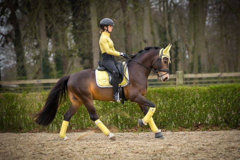 Soft Lemon saddle pad - Equestrian Stockholm