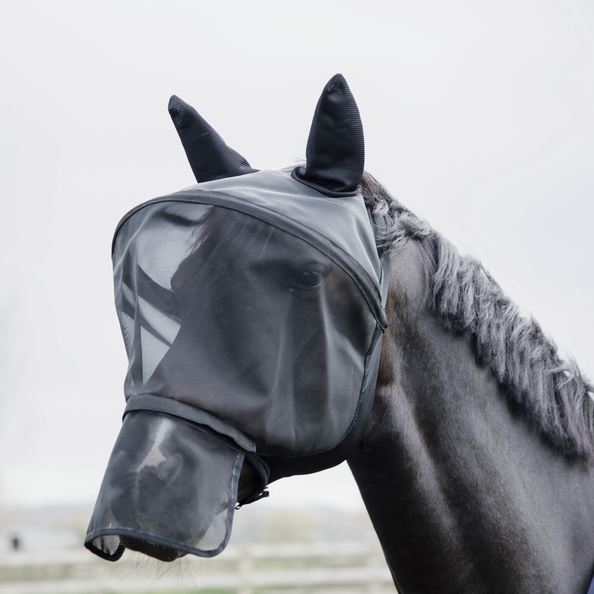 Pro Fly Mask - Kentucky