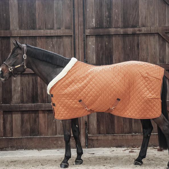 Couverture de présentation Kentucky EDITION LIMITEE 2021 - Orange