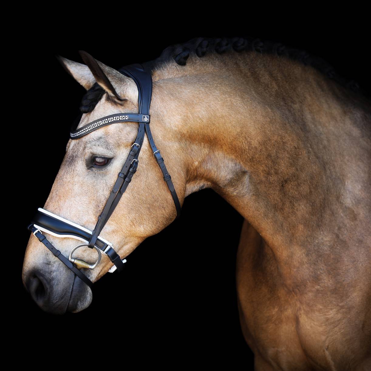 Jewel Bridle - SD Design