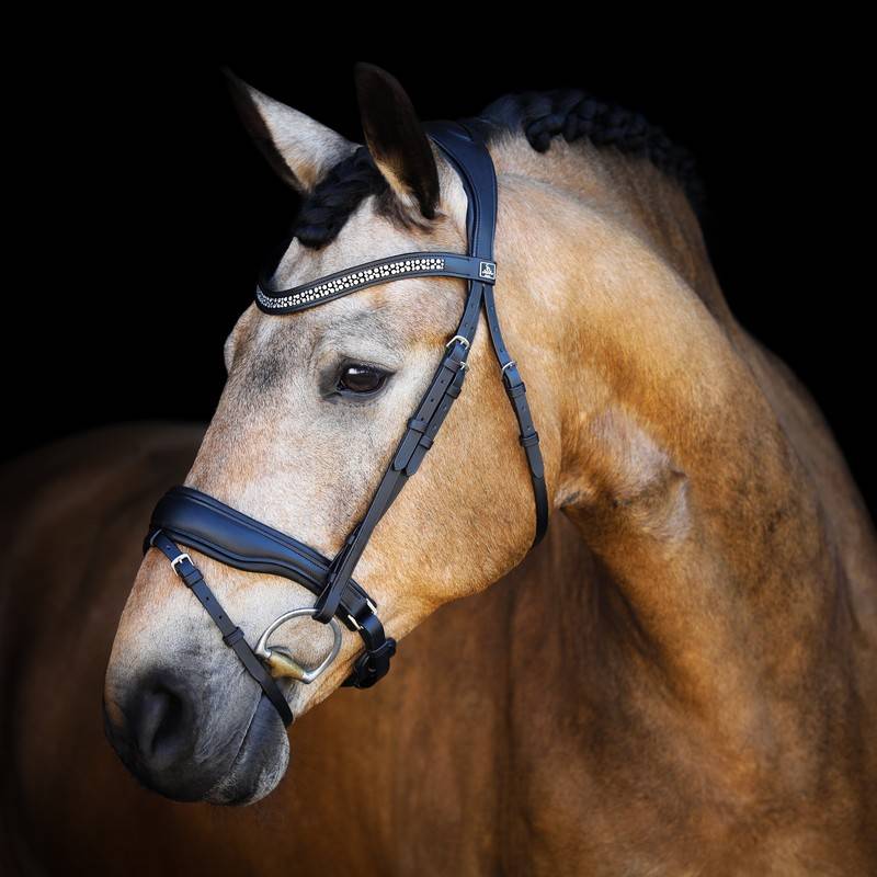 Jewel Bridle - SD Design