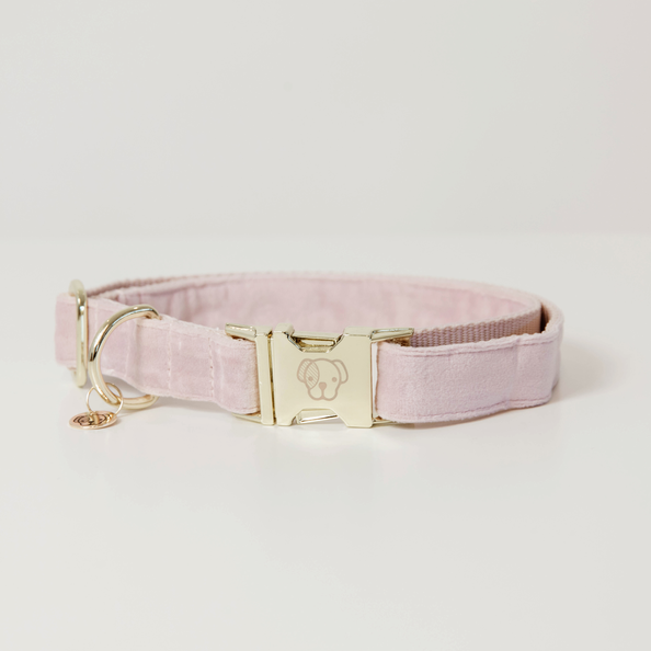 Collier pour chien Velvet - Kentucky