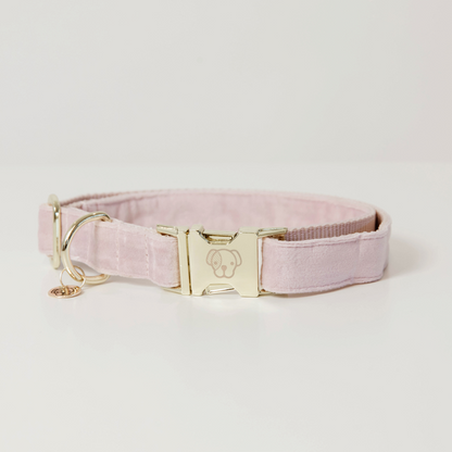 Collier pour chien Velvet - Kentucky