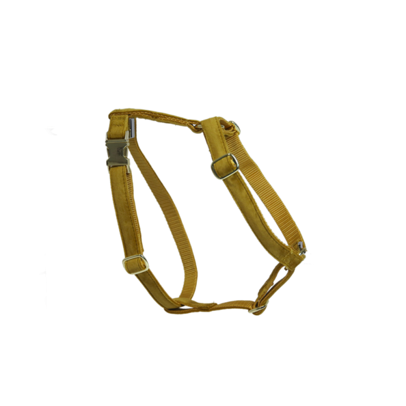 Velvet dog harness - Kentucky