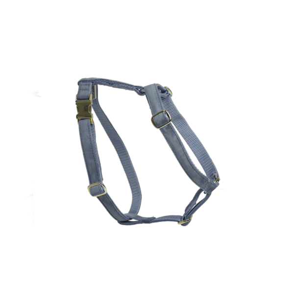 Velvet dog harness - Kentucky