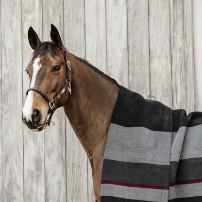 Heavy Stripes square drying blanket - Kentucky