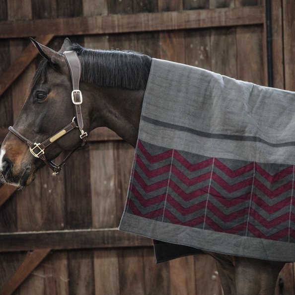 Heavy Fischbone square drying blanket - Kentucky