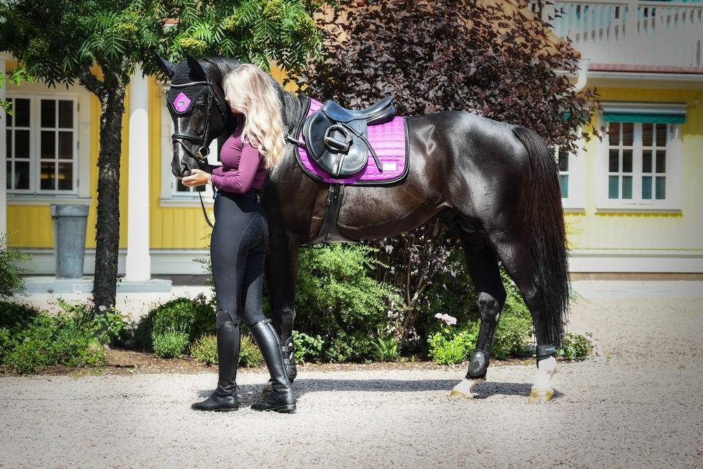 Vivid Viola saddle pad - Equito