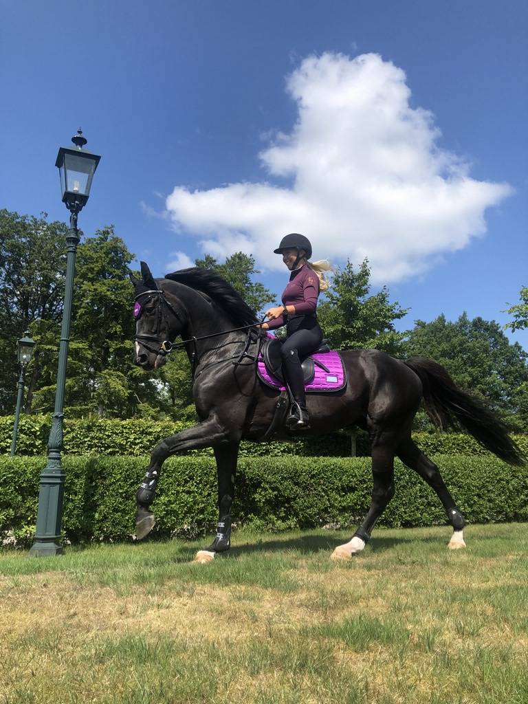 Vivid Viola saddle pad - Equito