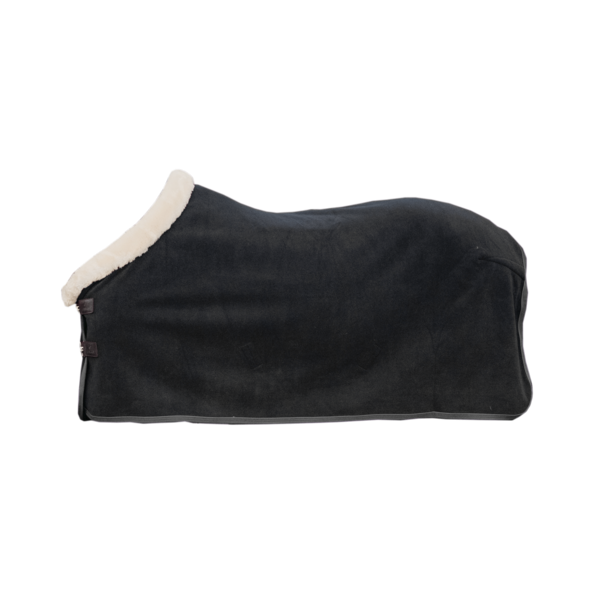 Show Heavy Drying Blanket - Kentucky
