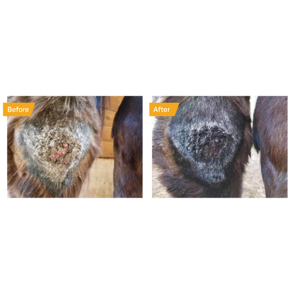Silver Honey Healing Spray - Absorbine 