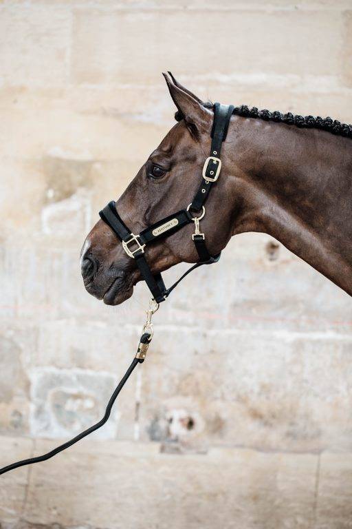Velvet Halter - Kentucky