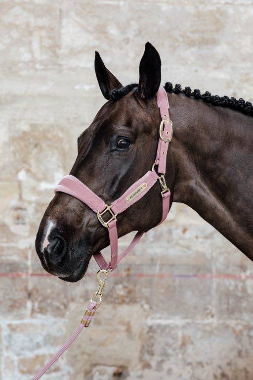 Velvet Halter - Kentucky
