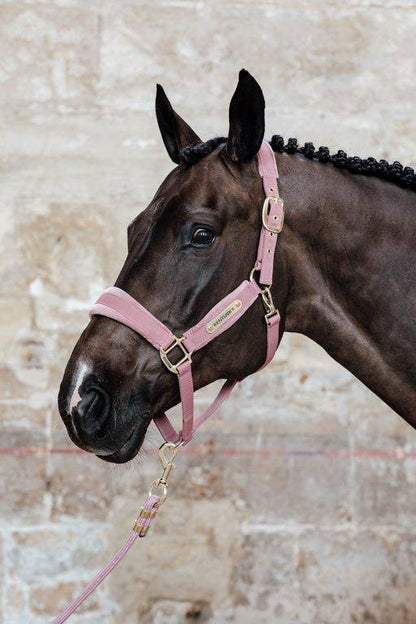 Velvet Halter - Kentucky