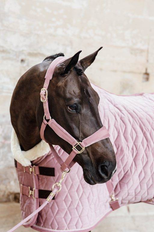 Velvet Halter - Kentucky
