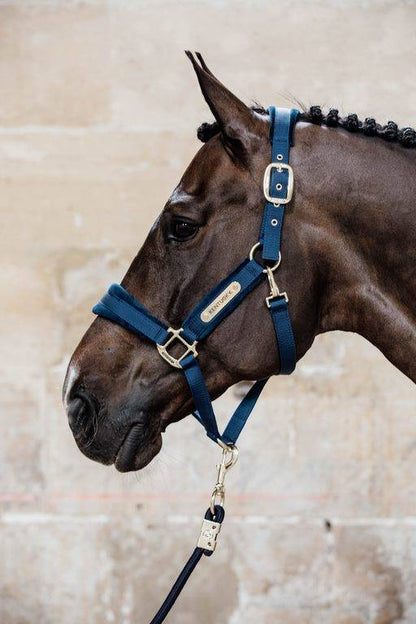 Velvet Halter - Kentucky