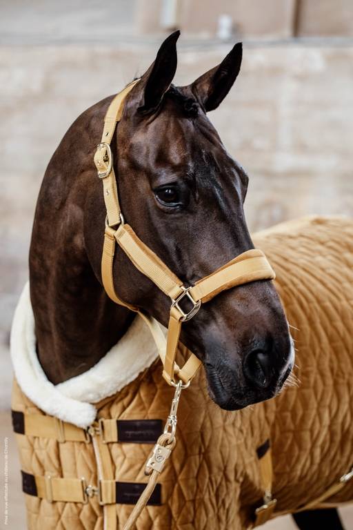 Velvet Halter - Kentucky