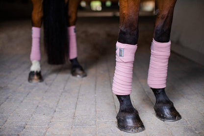 Equestrian Stockholm Polo Bands - Pink Crystal