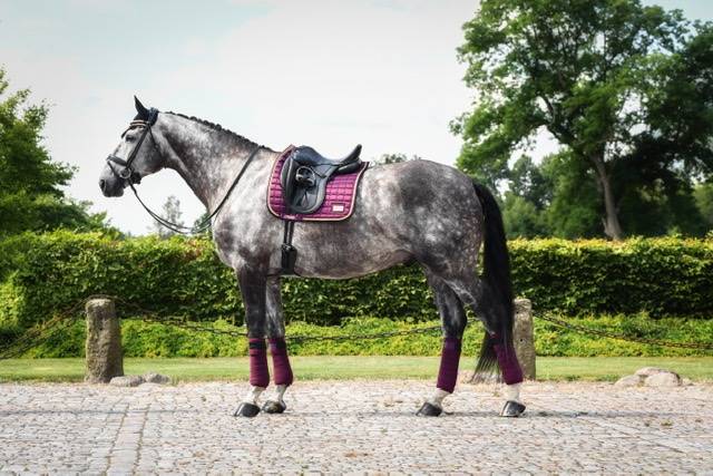 Plum fleece strips - Plum/Rose Gold - Equito