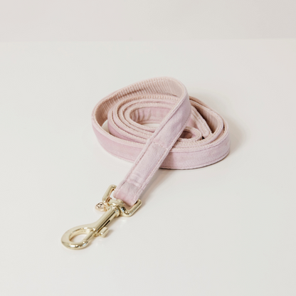 Laisse pour chien Velvet 120 cm - Kentucky