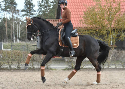 Rocky Road Baselayer Polo - Equito