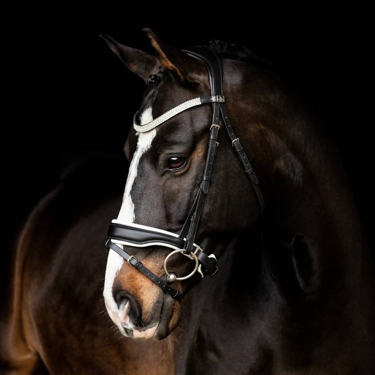 Anatomical black noseband lined in white - SD Design