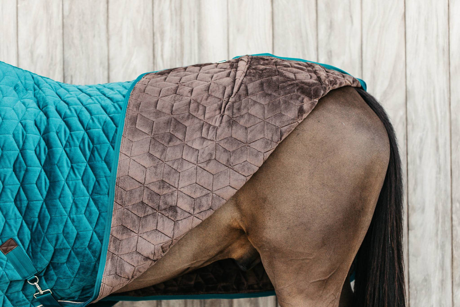 Velvet Presentation Blanket 160g Kentucky - Emerald