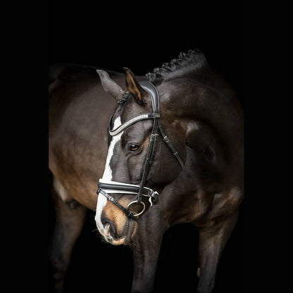 Silvano Bridle Black lined with white - SD Design
