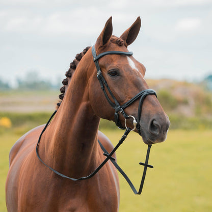 Kapitano bridle - Horka