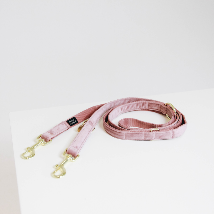 Laisse pour chien Velvet 2m - Kentucky