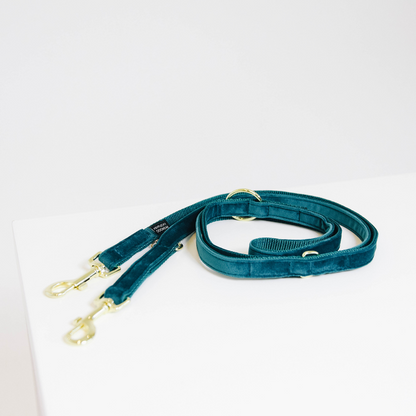 Velvet 2m dog leash - Kentucky