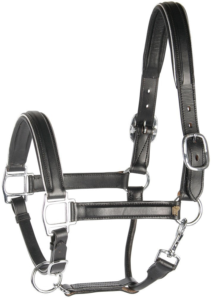 Licol en cuir doré ou argent Harry&
