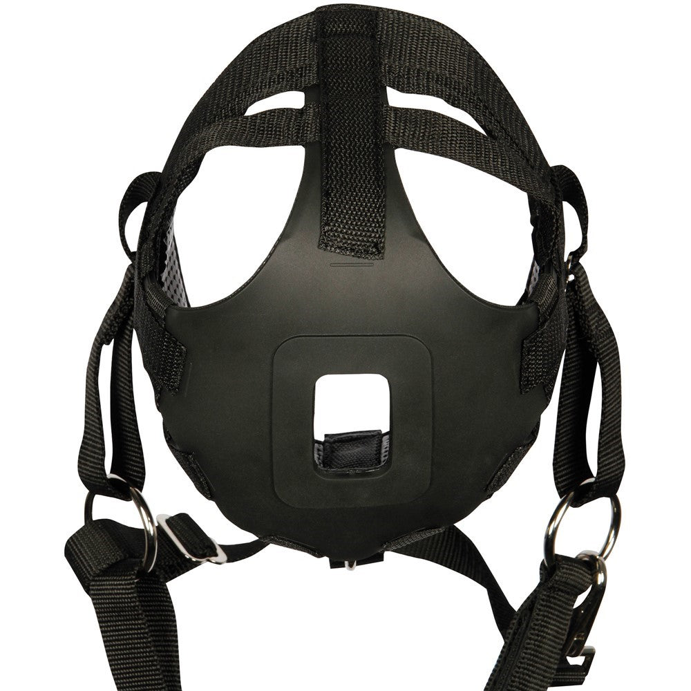 Air muzzle with integrated halter - Harry&