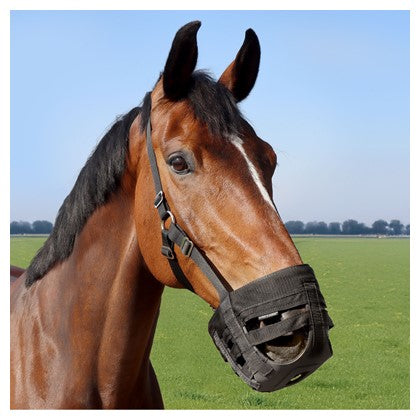 Air muzzle with integrated halter - Harry&