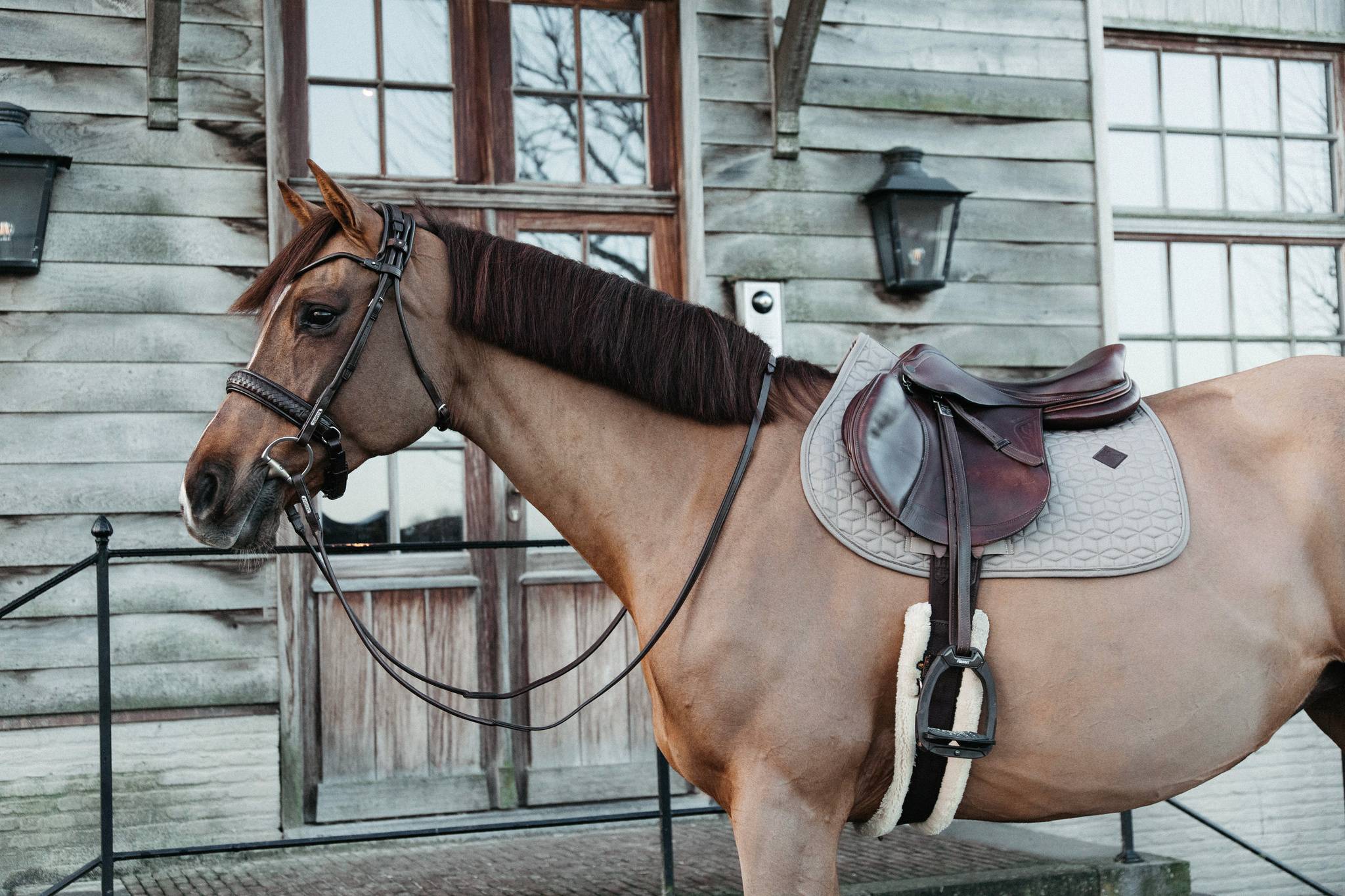 Classic saddle pad - Kentucky