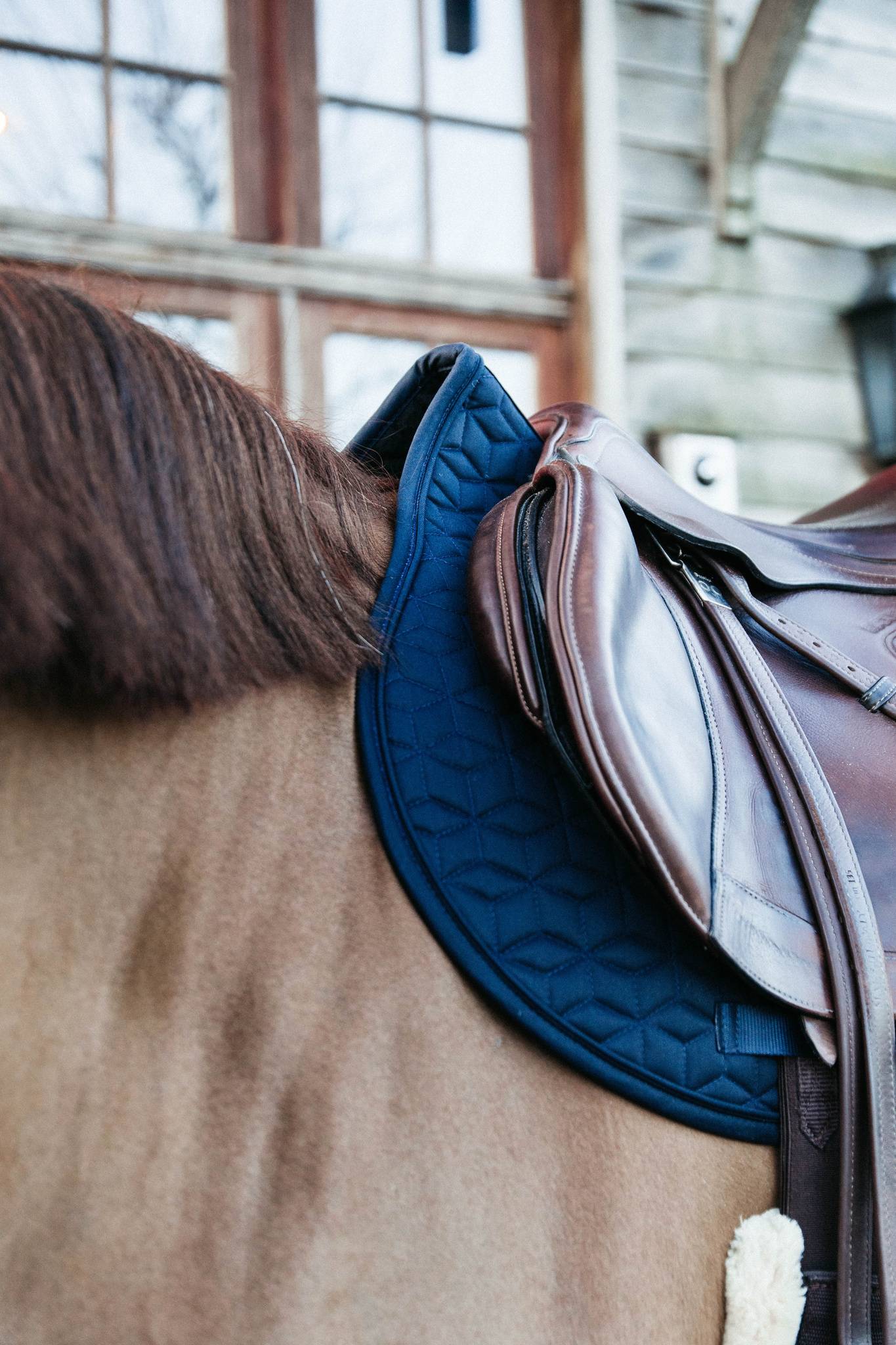 Classic saddle pad - Kentucky