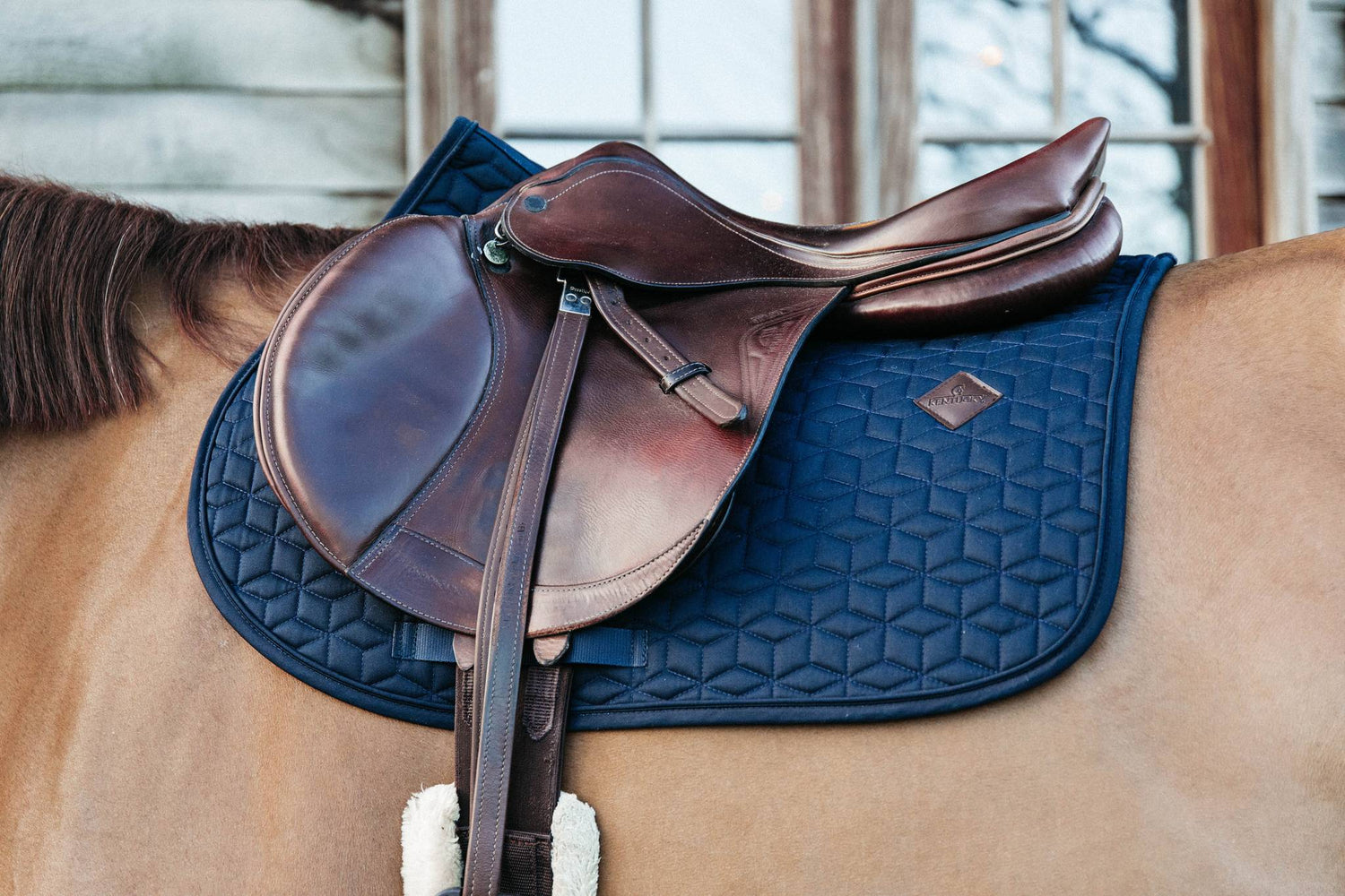 Classic saddle pad - Kentucky