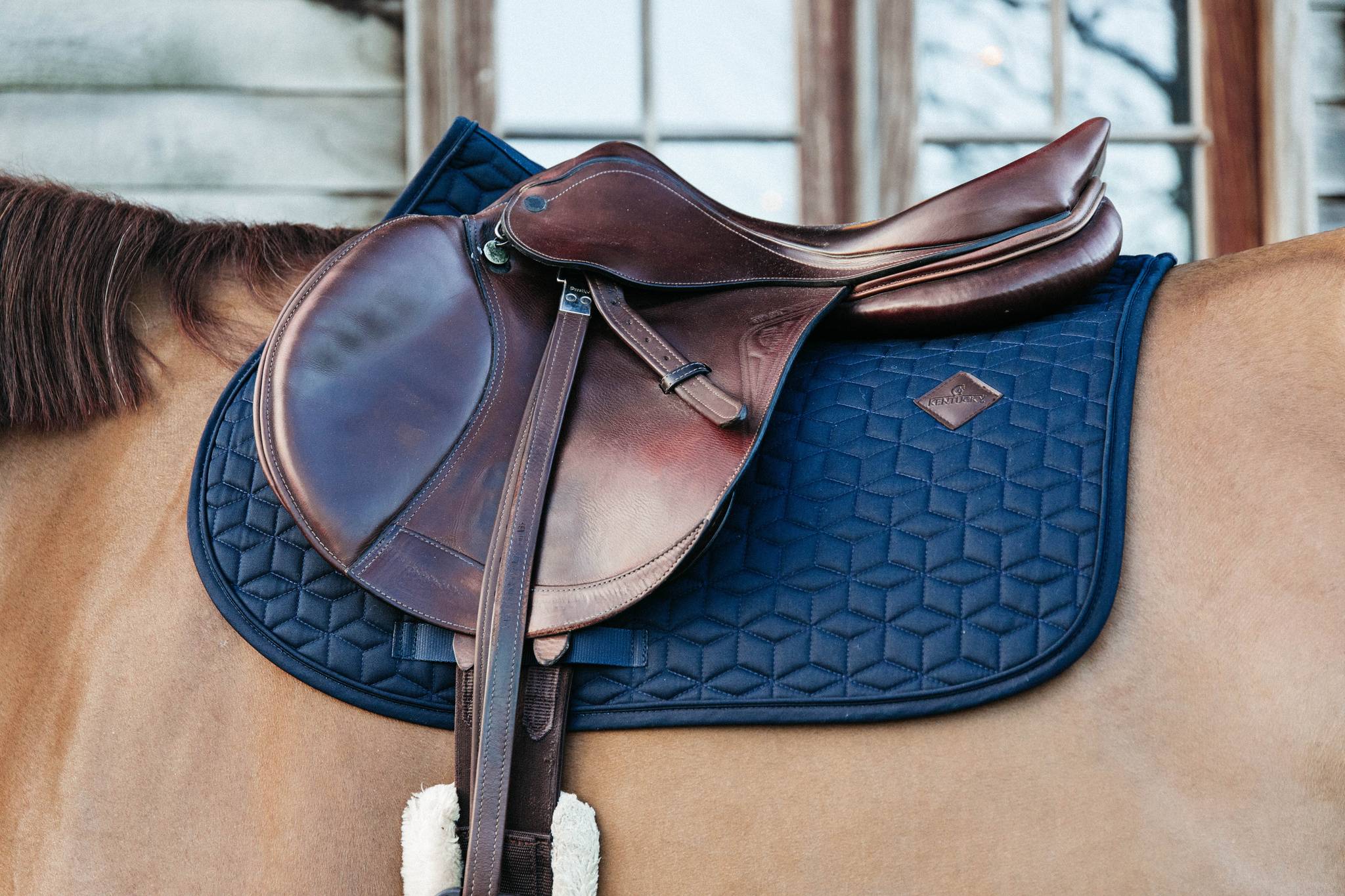 Classic saddle pad - Kentucky