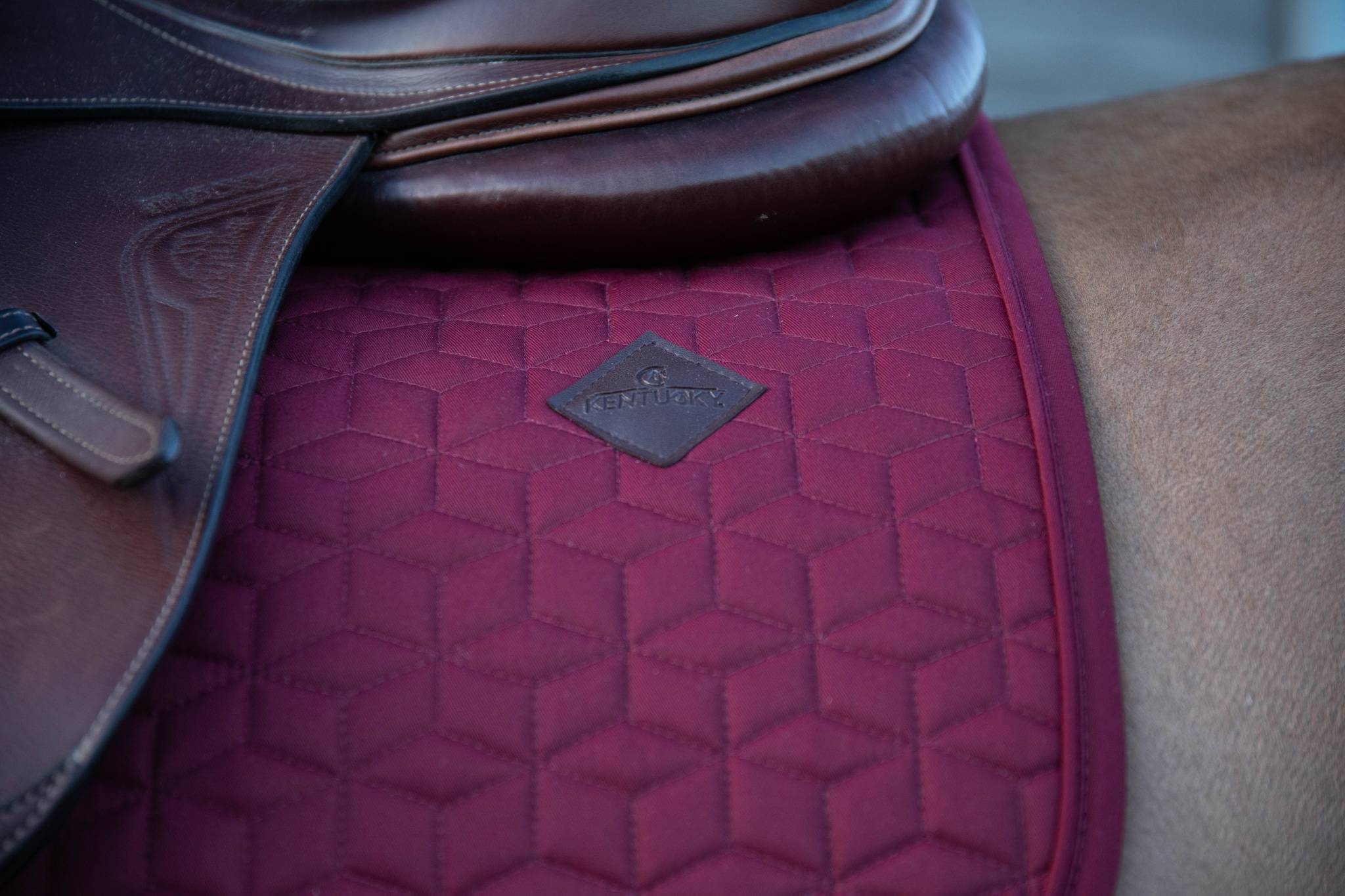 Classic saddle pad - Kentucky