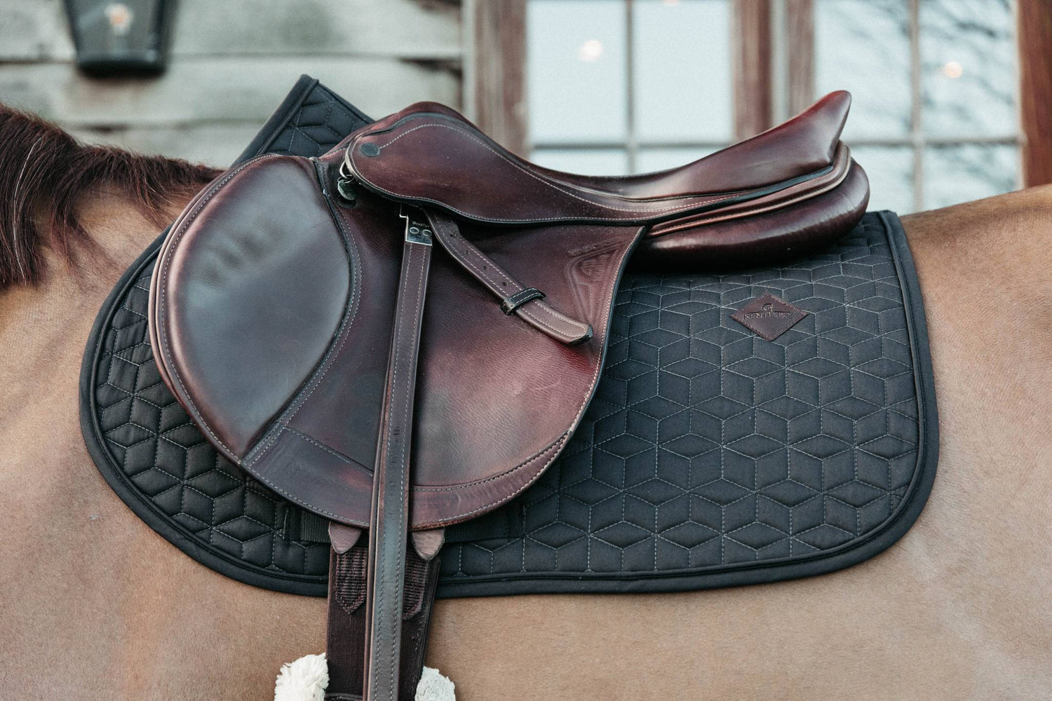 Classic saddle pad - Kentucky