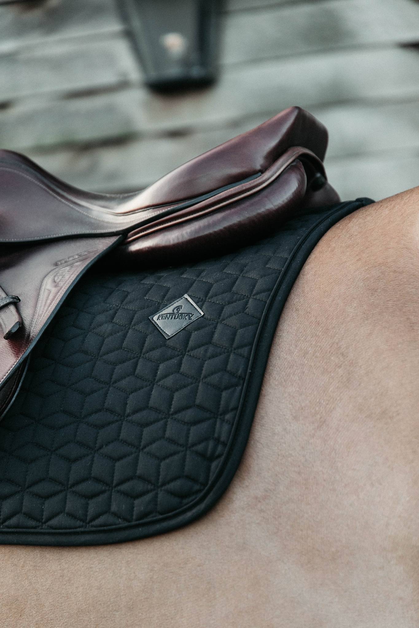 Classic saddle pad - Kentucky