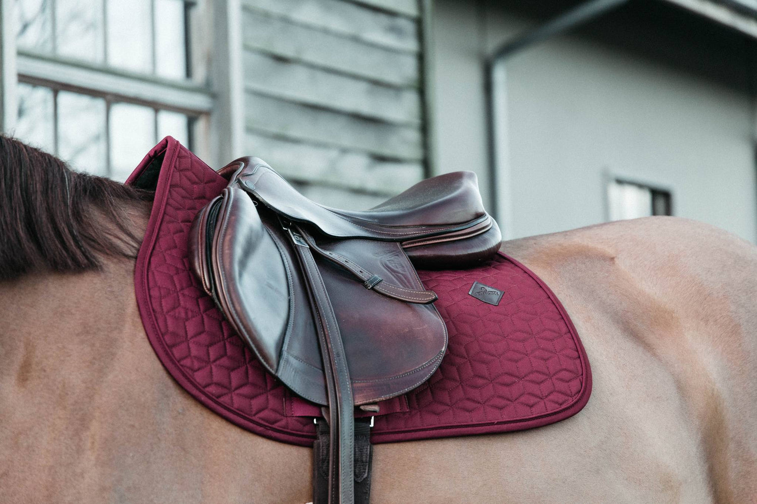 Classic saddle pad - Kentucky