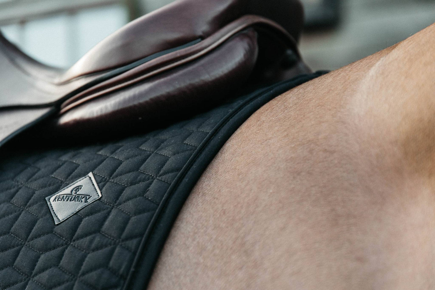 Classic saddle pad - Kentucky