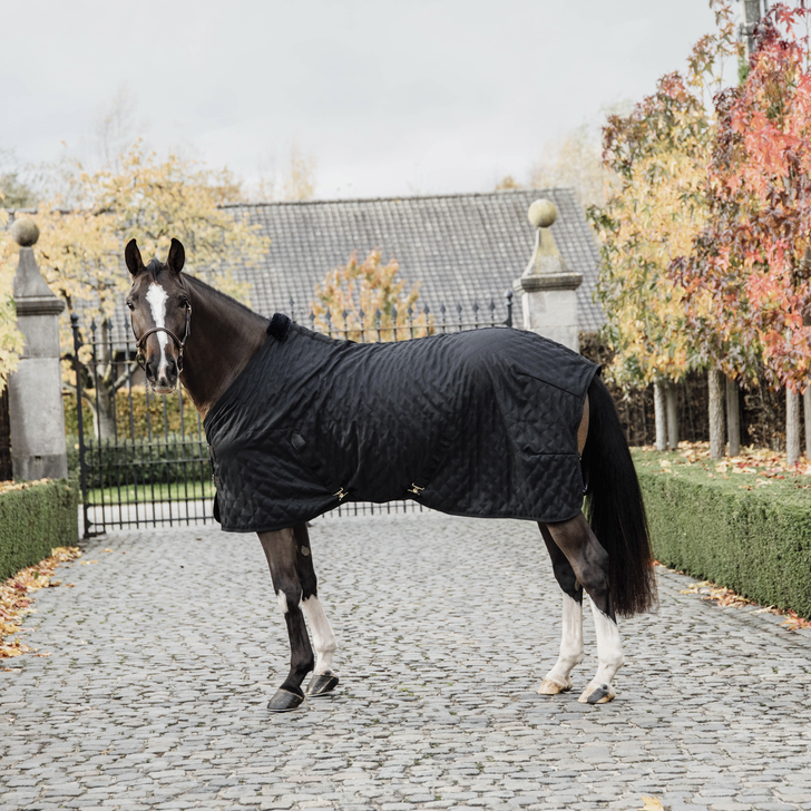 0g stable rug - Kentucky