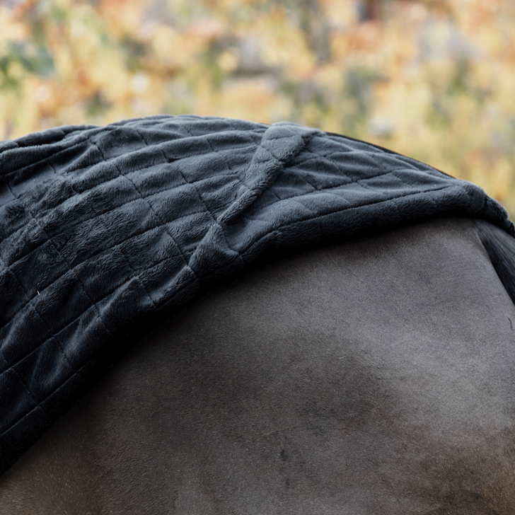 0g stable rug - Kentucky